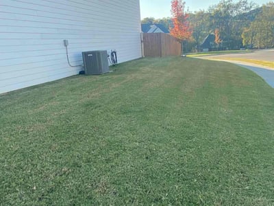 Lawn Care service in Woodbury, 37190