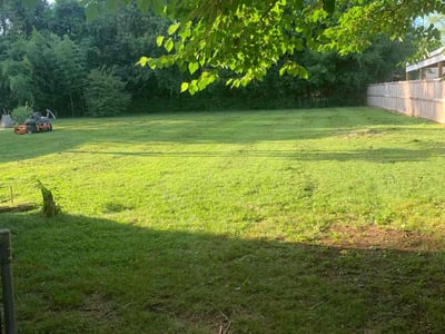 Lawn Care service in Gallatin, 37066
