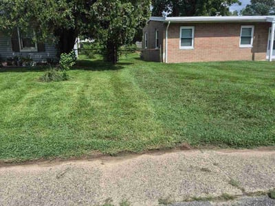 Lawn Care service in Claymont, 19703