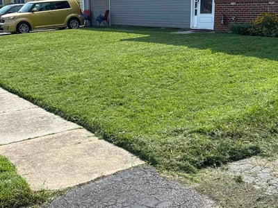 Lawn Care service in Claymont, 19703