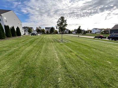 Lawn Care service in Sheffield Lake, 44054