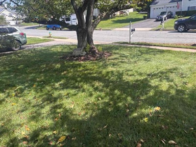Lawn Care service in Frederick, 21701
