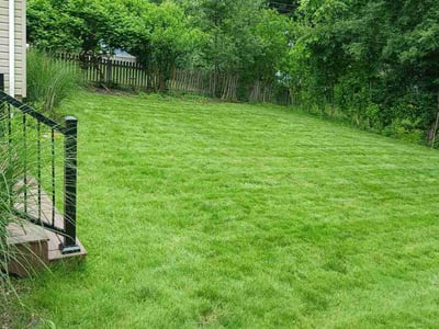 Lawn Care service in Sheffield Lake, 44054