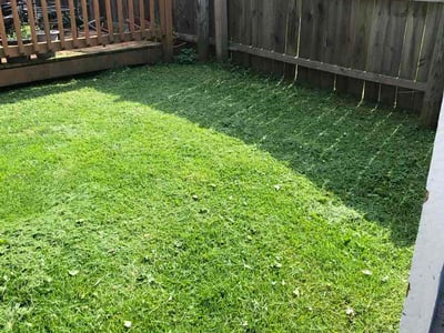 Lawn Care service in Forest Hill, 21050