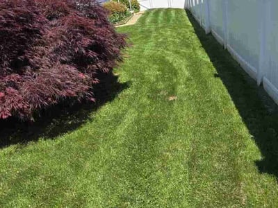 Lawn Care service in Reisterstown, 21136