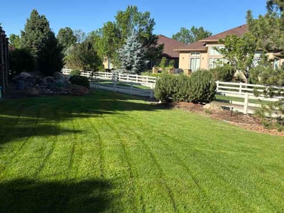 Lawn Care service in Broomfield, 80020