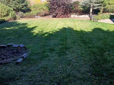 Lawn Care service in Broomfield, 80020