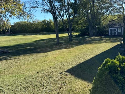 Lawn Care service in Columbia, 38401