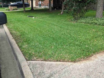 Lawn Care service in Bastrop, 78602