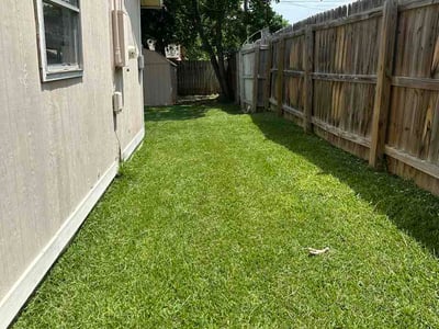 Lawn Care service in Bastrop, 78602