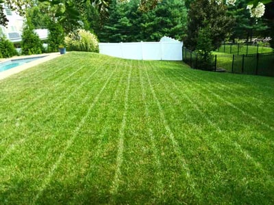 Lawn Care service in Ellicott City, 21043