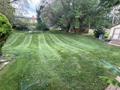 Lawn Care service in Ellicott City, 21043