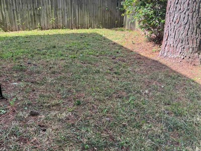 Lawn Care service in Vista, 92083