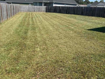 Lawn Care service in North Augusta, 29841