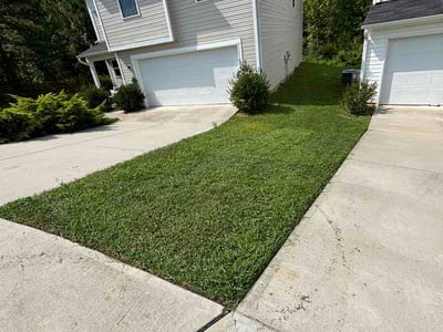 Lawn Care service in Asheboro, 27203