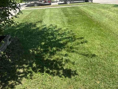Lawn Care service in Norwood, 45212