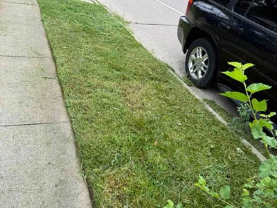 Lawn Care service in Norwood, 45212
