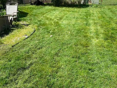 Lawn Care service in Beltsville, 20705
