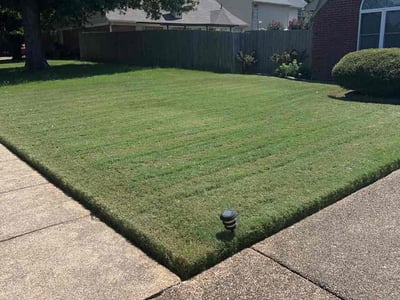 Lawn Care service in Cordova, 38018