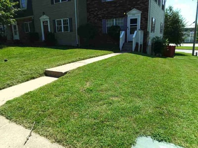 Lawn Care service in Pasadena, 21122