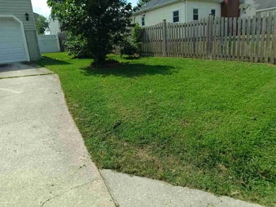 Lawn Care service in Pasadena, 21122