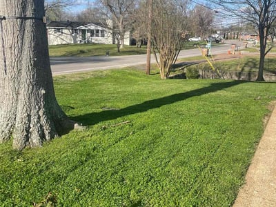 Lawn Care service in Lebanon, 37087