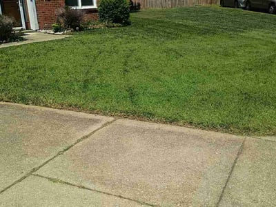 Lawn Care service in Clinton, 20735