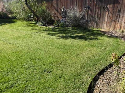 Lawn Care service in Amarillo, 79107