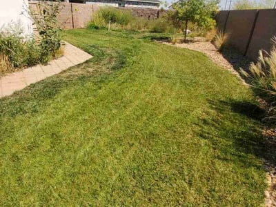 Lawn Care service in Amarillo, 79107