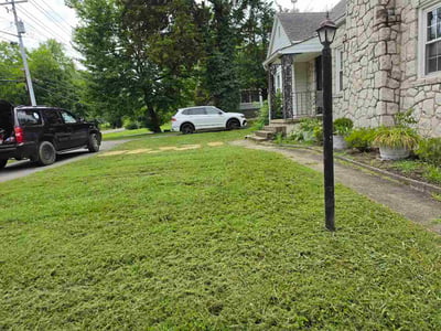 Lawn Care service in La Follette, 37766