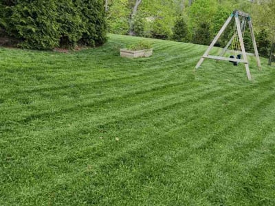 Lawn Care service in ,