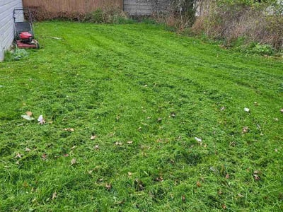 Lawn Care service in Euclid, 44123