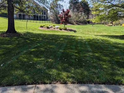 Lawn Care service in Brentwood, 37027