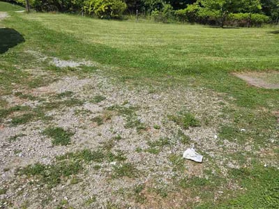 Lawn Care service in Hyde Park, 45208