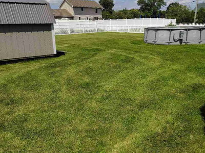 Lawn Care service in Lowell, 46356