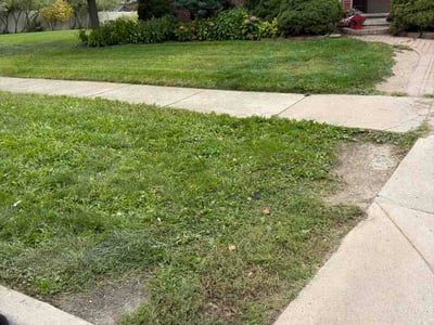 Lawn Care service in Belleville, 48111