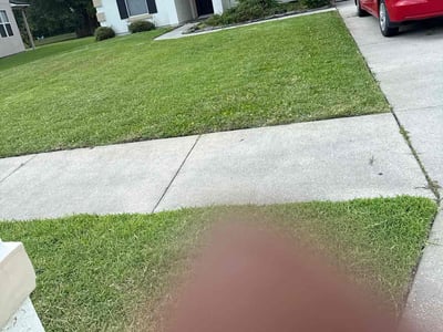 Lawn Care service in Imperial Beach, 91932