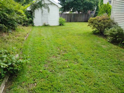 Lawn Care service in Auburn, 01501