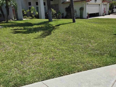 Lawn Care service in Lakeside, 92040