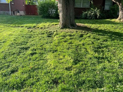 Lawn Care service in Egg Harbor Township, 08234