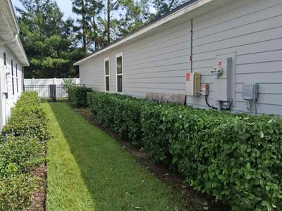 Lawn Care service in Lakeside, 92040