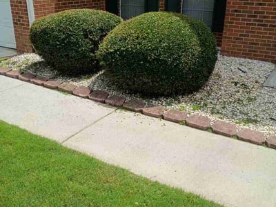 Lawn Care service in Spring Valley, 91977