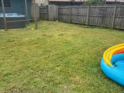 Lawn Care service in Spring Valley, 91977