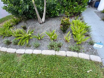 Lawn Care service in Selma, 93662