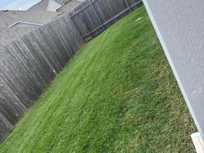 Lawn Care service in Selma, 93662