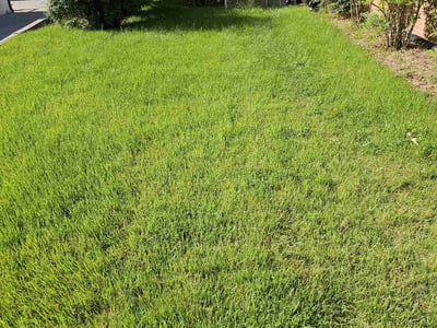 Lawn Care service in Pittsboro, 27312