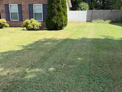 Lawn Care service in Lenoir City, 37771