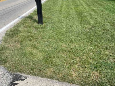 Lawn Care service in Fairfield, 45014