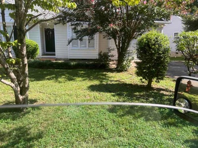 Lawn Care service in Leicester, 28748