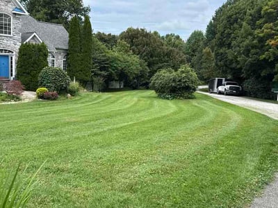 Lawn Care service in Halethorpe, 21227